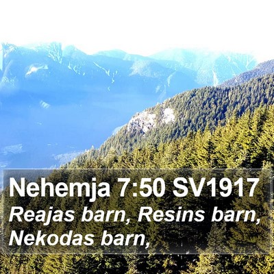 Nehemja 7:50 SV1917 Bible Verse Image