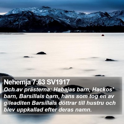 Nehemja 7:63 SV1917 Bible Verse Image