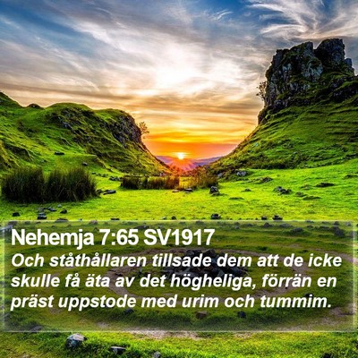 Nehemja 7:65 SV1917 Bible Verse Image