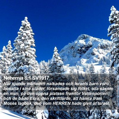 Nehemja 8:1 SV1917 Bible Verse Image