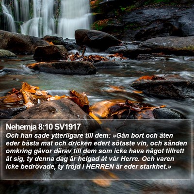 Nehemja 8:10 SV1917 Bible Verse Image