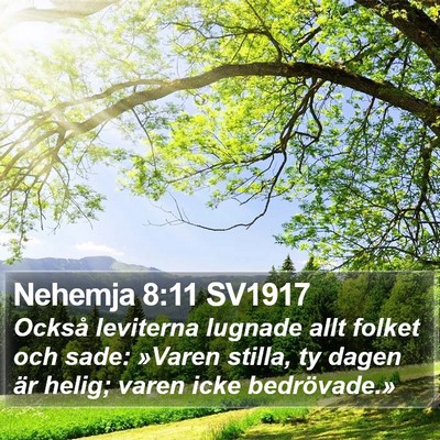 Nehemja 8:11 SV1917 Bible Verse Image