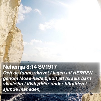 Nehemja 8:14 SV1917 Bible Verse Image