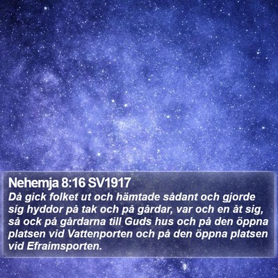 Nehemja 8:16 SV1917 Bible Verse Image
