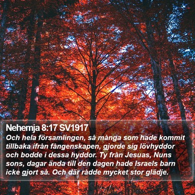 Nehemja 8:17 SV1917 Bible Verse Image