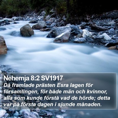 Nehemja 8:2 SV1917 Bible Verse Image