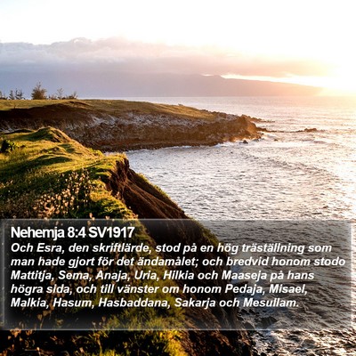 Nehemja 8:4 SV1917 Bible Verse Image