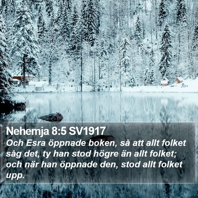 Nehemja 8:5 SV1917 Bible Verse Image