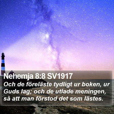 Nehemja 8:8 SV1917 Bible Verse Image