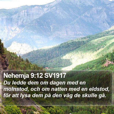 Nehemja 9:12 SV1917 Bible Verse Image