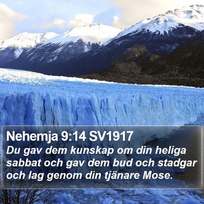Nehemja 9:14 SV1917 Bible Verse Image