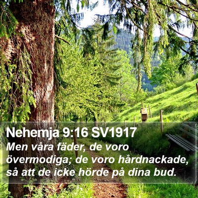 Nehemja 9:16 SV1917 Bible Verse Image