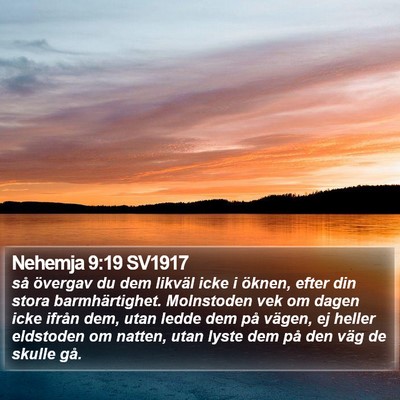 Nehemja 9:19 SV1917 Bible Verse Image