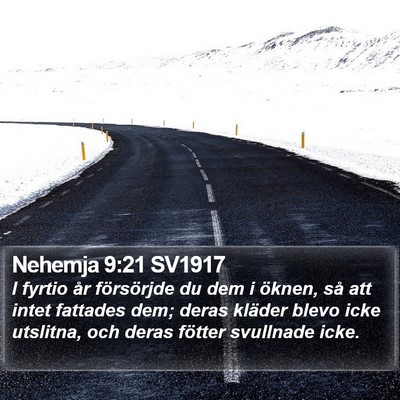 Nehemja 9:21 SV1917 Bible Verse Image
