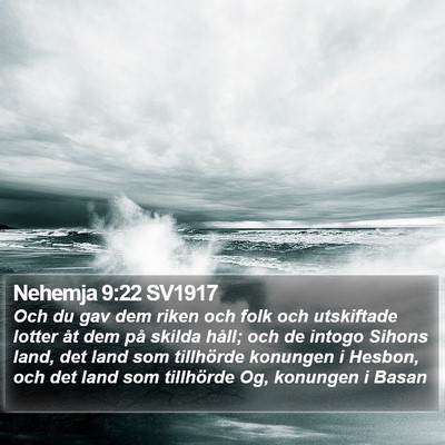 Nehemja 9:22 SV1917 Bible Verse Image