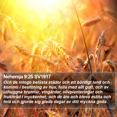 Nehemja 9:25 SV1917 Bible Verse Image