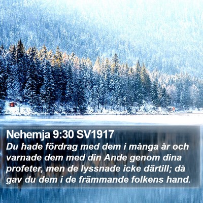 Nehemja 9:30 SV1917 Bible Verse Image