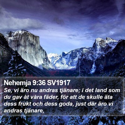 Nehemja 9:36 SV1917 Bible Verse Image