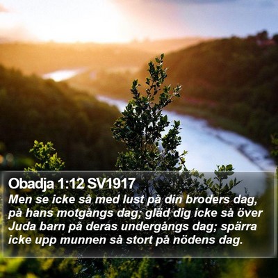 Obadja 1:12 SV1917 Bible Verse Image