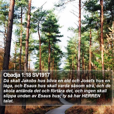 Obadja 1:18 SV1917 Bible Verse Image
