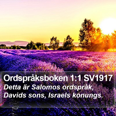 Ordspråksboken 1:1 SV1917 Bible Verse Image