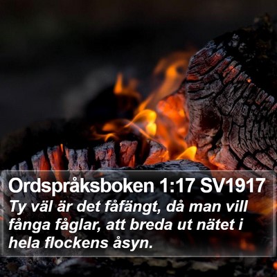 Ordspråksboken 1:17 SV1917 Bible Verse Image