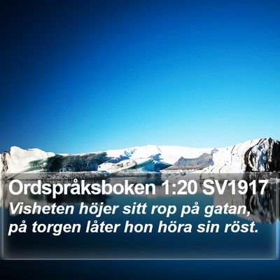 Ordspråksboken 1:20 SV1917 Bible Verse Image