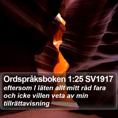 Ordspråksboken 1:25 SV1917 Bible Verse Image