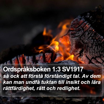 Ordspråksboken 1:3 SV1917 Bible Verse Image