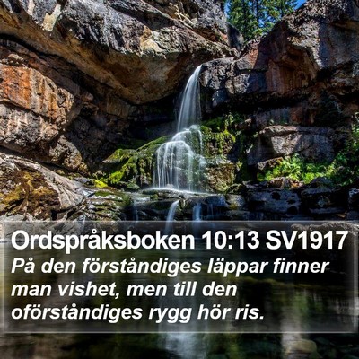Ordspråksboken 10:13 SV1917 Bible Verse Image