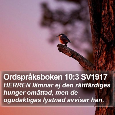 Ordspråksboken 10:3 SV1917 Bible Verse Image