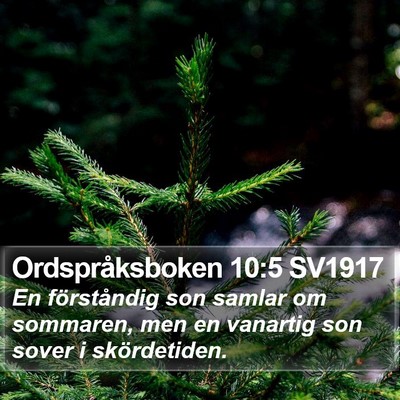 Ordspråksboken 10:5 SV1917 Bible Verse Image