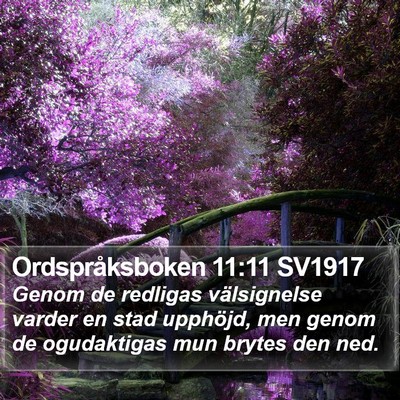 Ordspråksboken 11:11 SV1917 Bible Verse Image