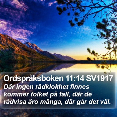 Ordspråksboken 11:14 SV1917 Bible Verse Image
