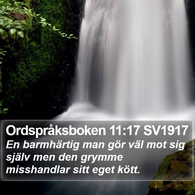 Ordspråksboken 11:17 SV1917 Bible Verse Image