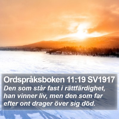 Ordspråksboken 11:19 SV1917 Bible Verse Image