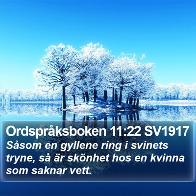 Ordspråksboken 11:22 SV1917 Bible Verse Image