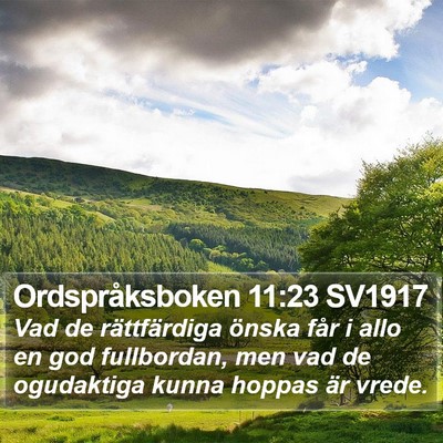 Ordspråksboken 11:23 SV1917 Bible Verse Image