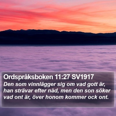 Ordspråksboken 11:27 SV1917 Bible Verse Image