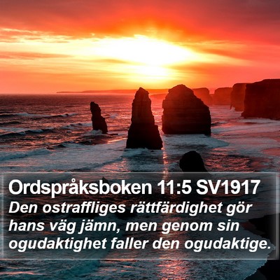 Ordspråksboken 11:5 SV1917 Bible Verse Image
