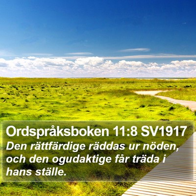 Ordspråksboken 11:8 SV1917 Bible Verse Image