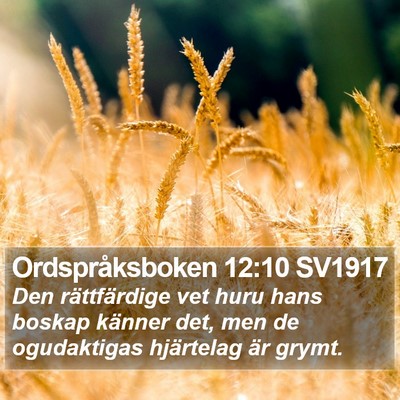 Ordspråksboken 12:10 SV1917 Bible Verse Image