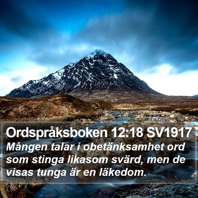 Ordspråksboken 12:18 SV1917 Bible Verse Image