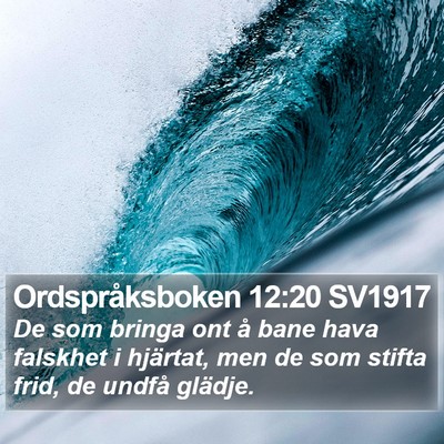 Ordspråksboken 12:20 SV1917 Bible Verse Image