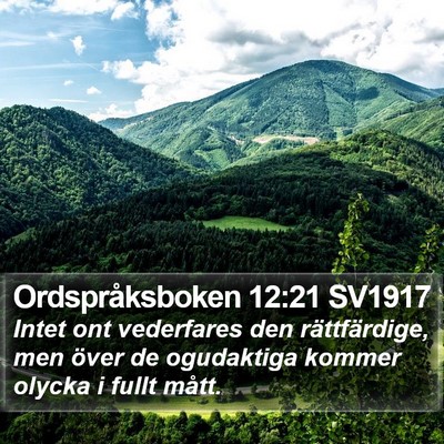 Ordspråksboken 12:21 SV1917 Bible Verse Image