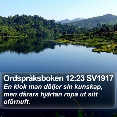 Ordspråksboken 12:23 SV1917 Bible Verse Image