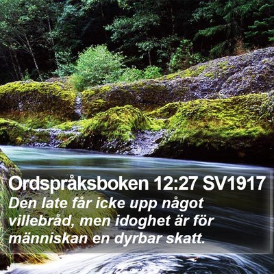 Ordspråksboken 12:27 SV1917 Bible Verse Image