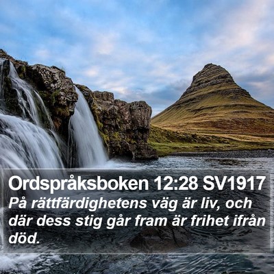 Ordspråksboken 12:28 SV1917 Bible Verse Image