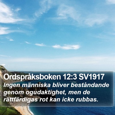 Ordspråksboken 12:3 SV1917 Bible Verse Image