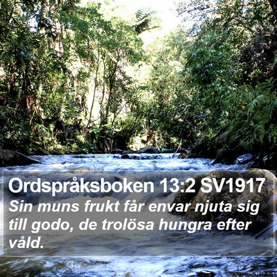 Ordspråksboken 13:2 SV1917 Bible Verse Image